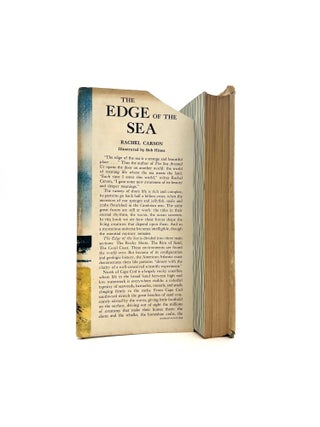 The Edge of the Sea
